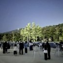 별헤는밤 이미지