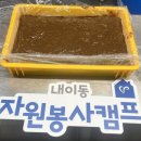 도토리캠프 이미지