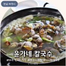 여수 현지인 맛집 윤가네 칼국수 쭈꾸미 삼합 바지락칼국수 해물파전 아이랑 갈만한 식당