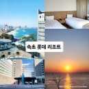 바다향기로 | 롯데 리조트 속초 콘도 패밀리 트윈 후기 (feat. 일출, 바다향기로)
