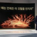불새룸