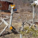 솔치흙집농원 이미지