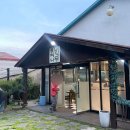 측백장어 이미지