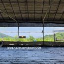 상룡농장 이미지