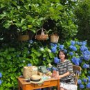 앵지밭골 이미지