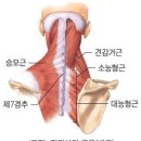 마디움한의원 이미지