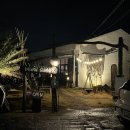 써니펫시터 이미지