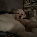 은평탑내과의원 이미지