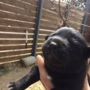 제이모터스(J모터스) 이미지