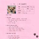 용준이네 | [#1516] 용준(양측 슬개골 탈구 G2, G3)의 수술후기