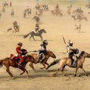 조운농장 이미지