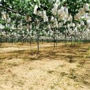 재우농장 이미지