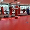 대전복싱클럽 이미지