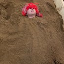 금화효소원 이미지