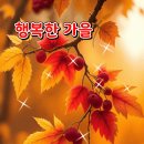 10월20일 우리나라의 홀수 문화 이미지