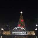 우리정다운약국 | 지니의 일상 블로그 | December. 4th / 2025