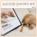 더 빛나개 | 보곤다닷컴 강아지액자 추천, 반려견 스토리액자 제작 후기