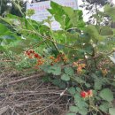 자은약수터 이미지