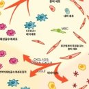G1004 이미지