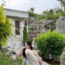 티파니펫 이미지