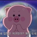 행운켄넬 이미지