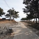 사곶관광 안내소 이미지