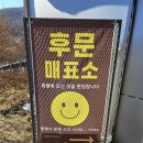 보물농장 | 경기도 광주 딸기체험 후기｜식물원까지 함께 즐기는 아이랑 체험코스, 율봄농장