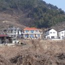 양지-3520 이미지