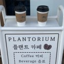 플랜토리움 | 천안 성정동 예쁜 식물 카페 플랜토리움 방문 후기