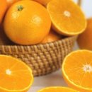 땡큐베리팜 이미지