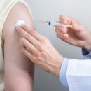 도그런살롱 이미지