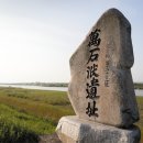 학정농장 Daum카페