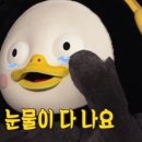 연방죽참숯불구이 이미지