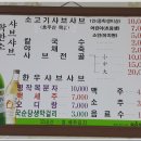 (주)루여행사 Daum카페