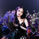 (주)아이엘 이미지