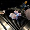 두텁돼지 이미지