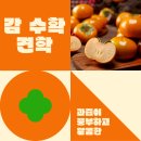 바다빛어린이집 이미지