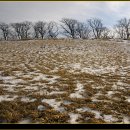 양지목장 이미지