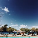 파라다이스 수영장 이미지