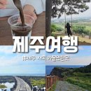 제주마실 게스트하우스 | 제주 서쪽 가볼만한곳 3박4일 여행코스 제주 혼자여행