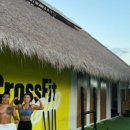 크로스핏 정글 이미지