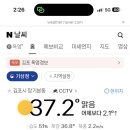 허니보쌈