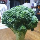분형 연쇄 봉오리 채소 - Broccoli(브로콜리) 이미지
