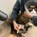 골골탬버린클럽 이미지