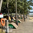 안악해수욕장 화장실 | 함평 안악해변 전남 캠핑 명소 꿀팁 그리고 실패
