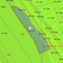 영천시 신녕면 완전리 휴경지 15m 도로접한 자연녹지583평 1억1천만원 이미지