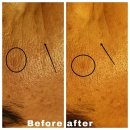 에스텔라 | SonicGPT5 에스텔라맥스 물방울리프팅기기 구매후기