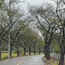 닮다, 담다 153 이미지