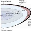 시그널동물병원 이미지