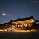 투어플레저